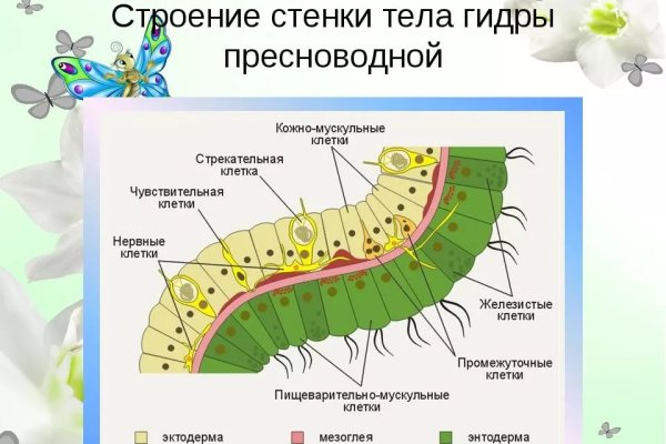 Рабочая ссылка на кракен