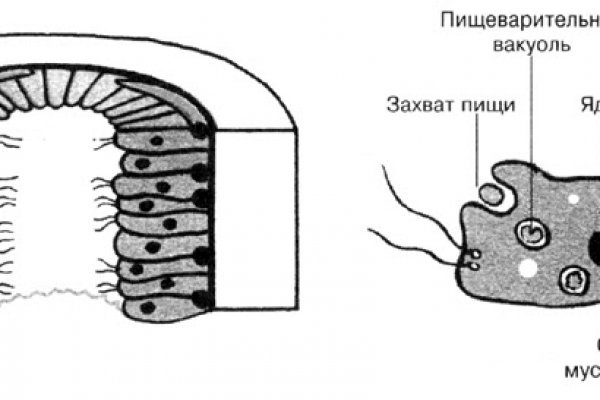 Кракен актуальная ссылка kraken torion net