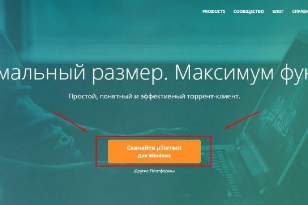 Рабочее зеркало кракен