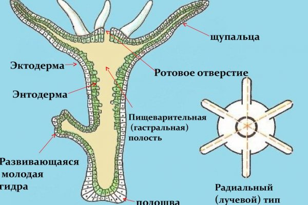 Кракен маркетплейс магазин