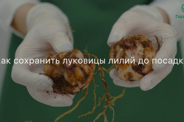 Пользователь не найден кракен даркнет
