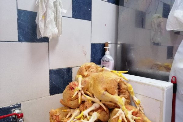 Ссылки в тор