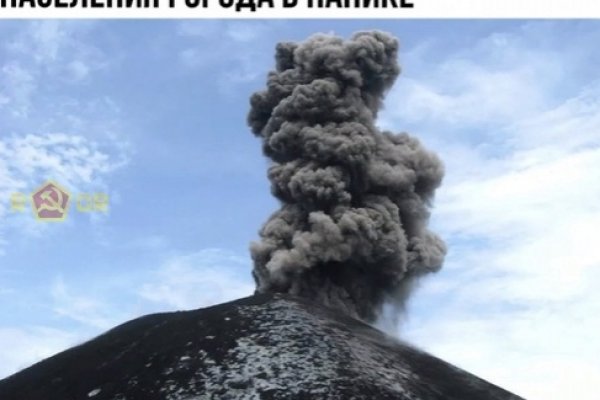 Прямая ссылка на кракен